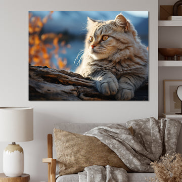 Cat Scottish Fold Serenity - Cat Living Room Wall Art